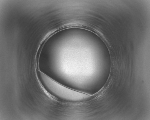 X0000056361034200508260941