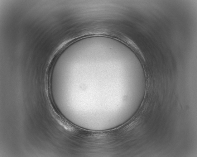 X0000056361035200508260941