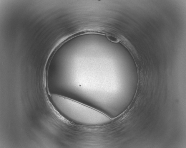 X0000056361036200508260941