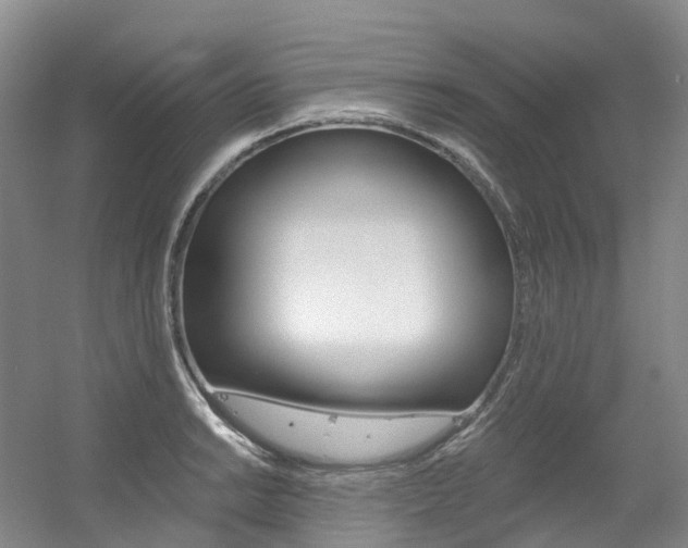 X0000056361038200508260941