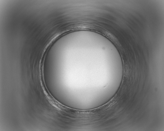 X0000056361039200508260941