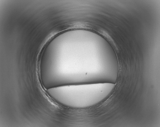 X0000056361043200508260941