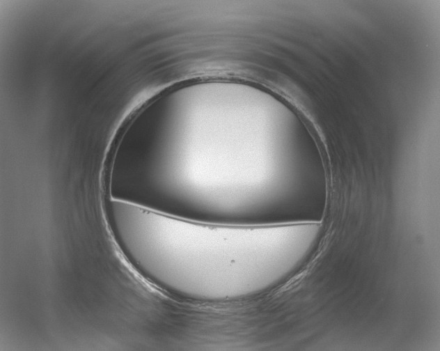 X0000056361045200508260941