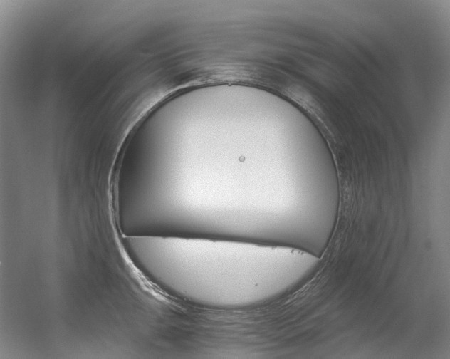 X0000056361047200508260941
