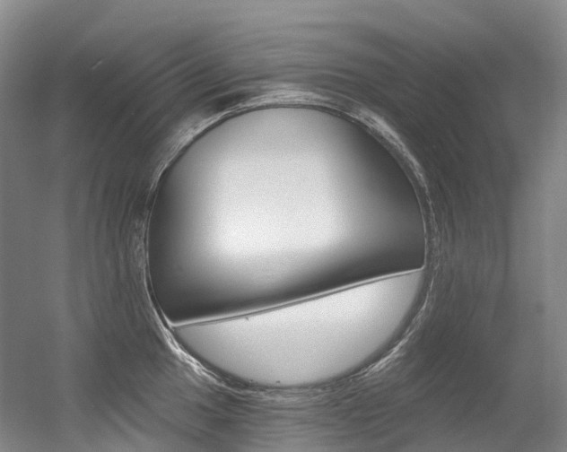 X0000056361049200508260941