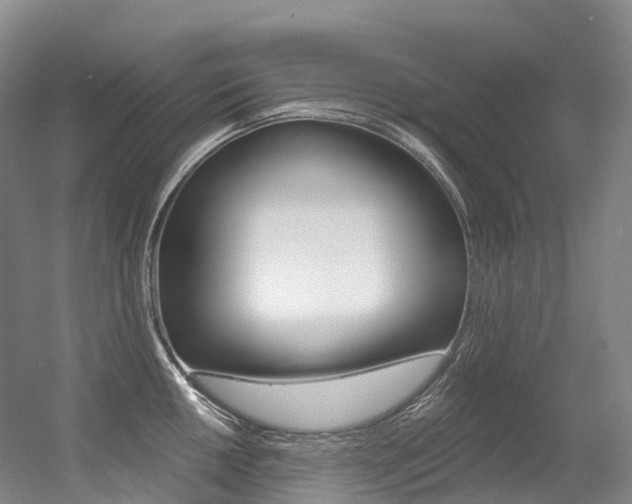 X0000056361050200508260941