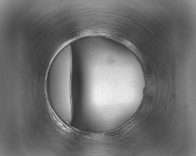 X0000056361052200508260941