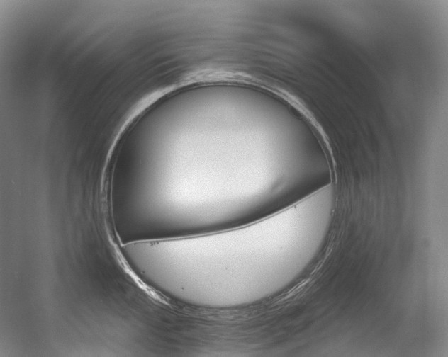 X0000056361053200508260941