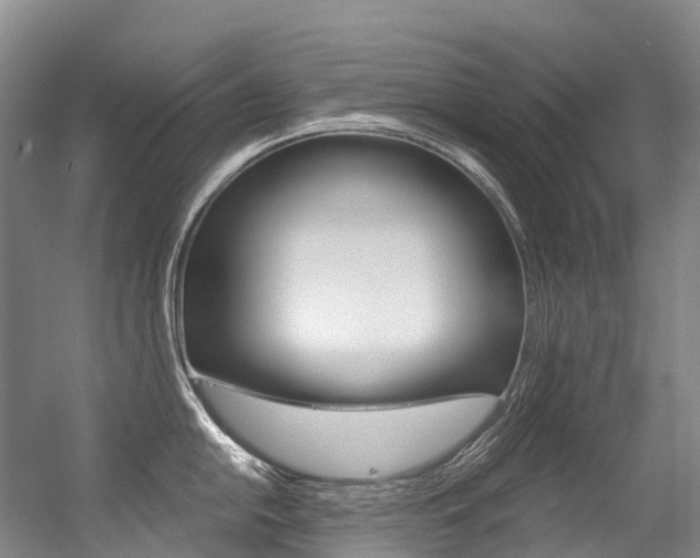 X0000056361054200508260941