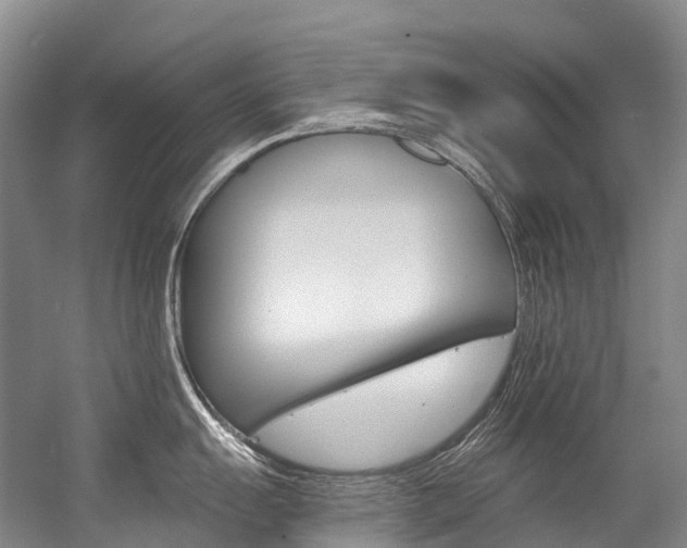 X0000056361055200508260941