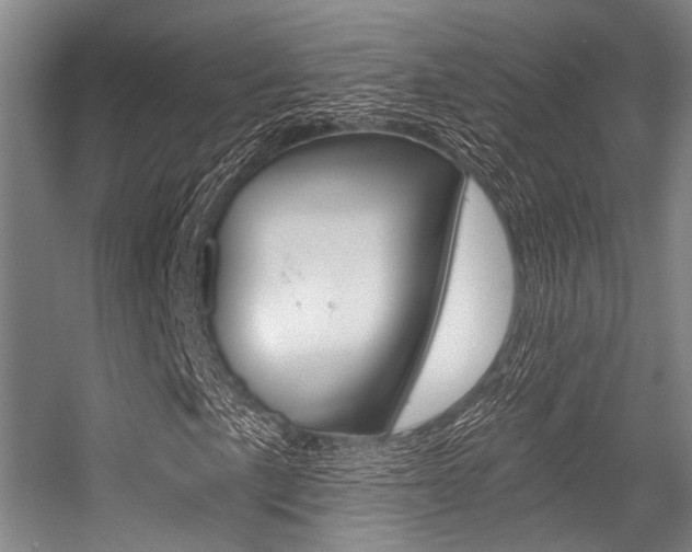 X0000056361057200508260940