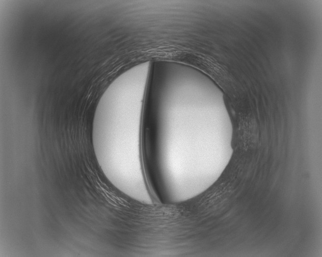 X0000056361058200508260940