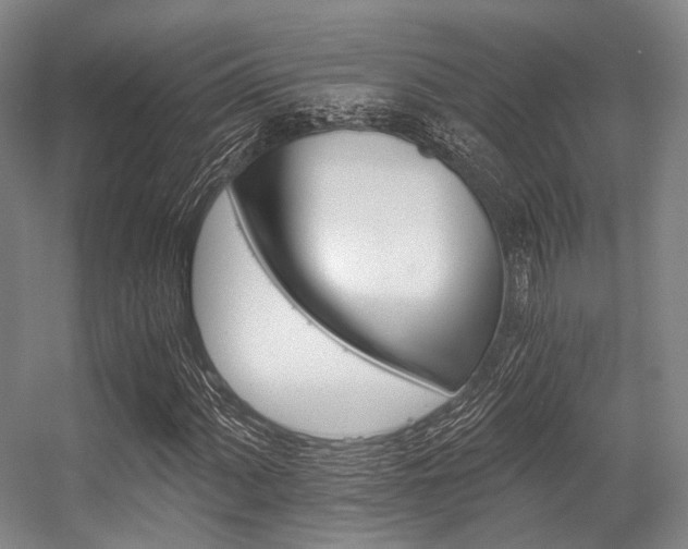 X0000056361060200508260940