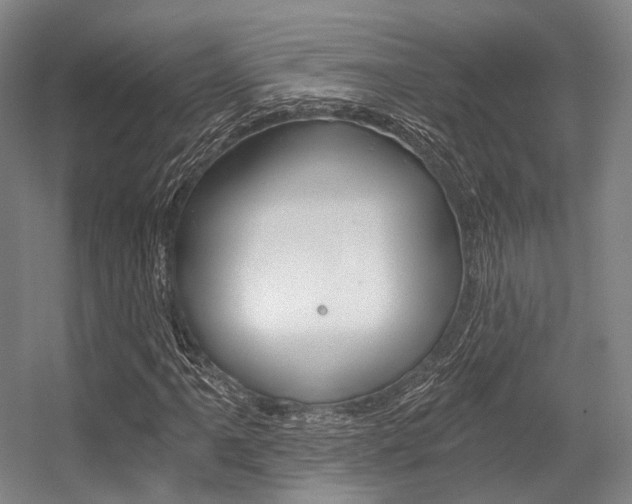 X0000056361061200508260940