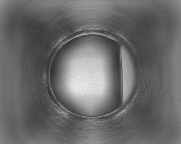 X0000056361065200508260940