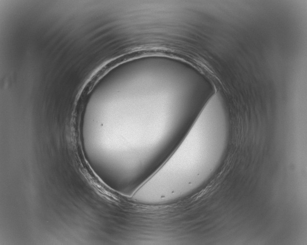 X0000056361068200508260940