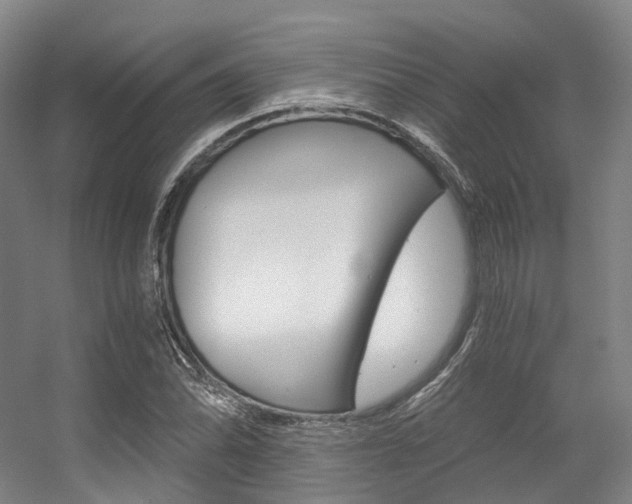 X0000056361070200508260940