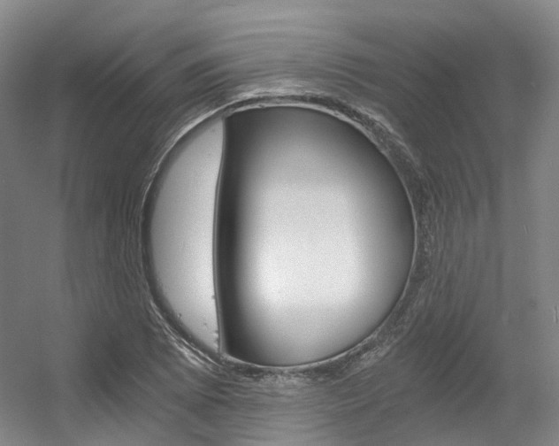 X0000056361073200508260940