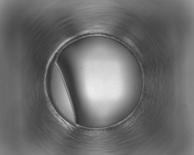 X0000056361076200508260940