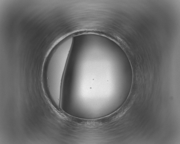 X0000056361077200508260940