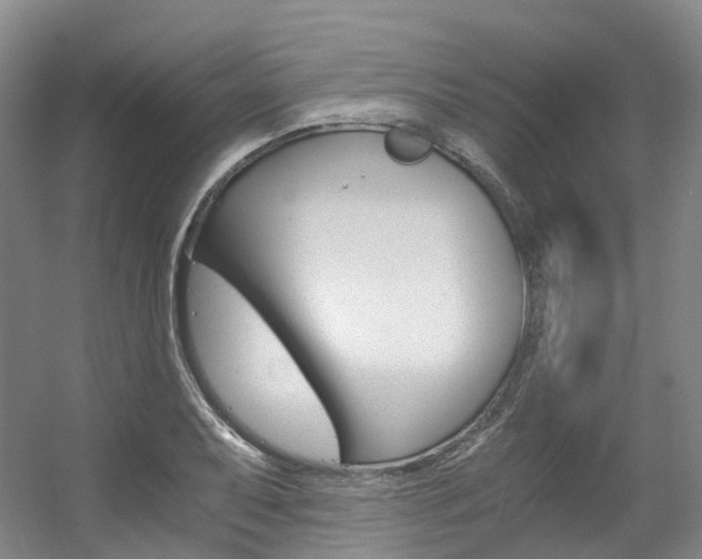 X0000056361079200508260940