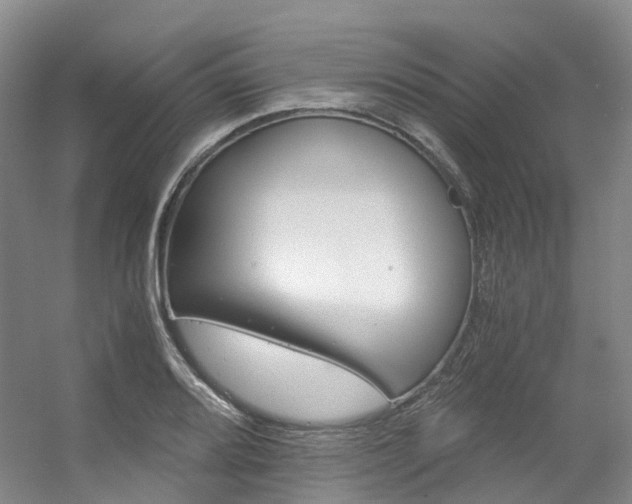 X0000056361080200508260940