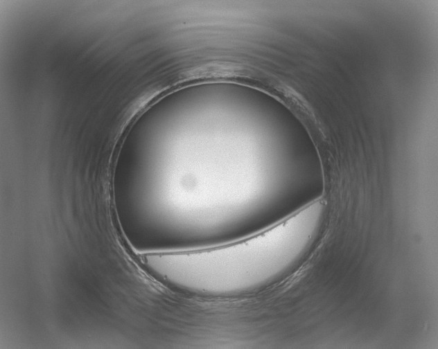 X0000056361081200508260940