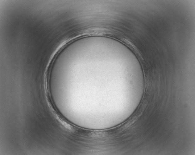 X0000056361083200508260940