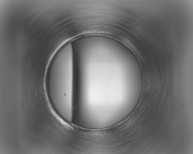 X0000056361084200508260940