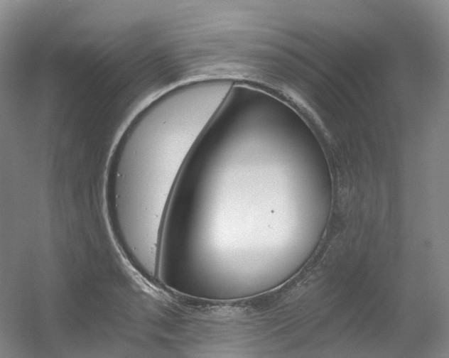 X0000056361085200508260940