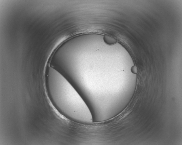 X0000056361087200508260940