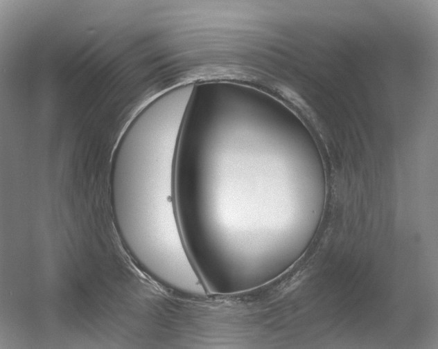 X0000056361089200508260940