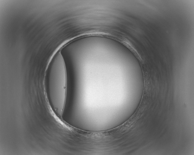 X0000056361092200508260939