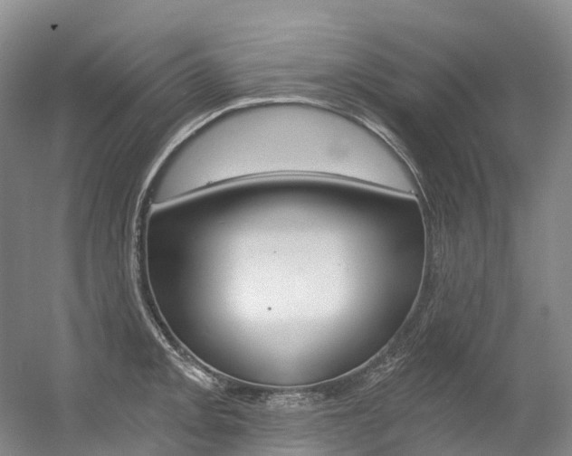 X0000056361093200508260939