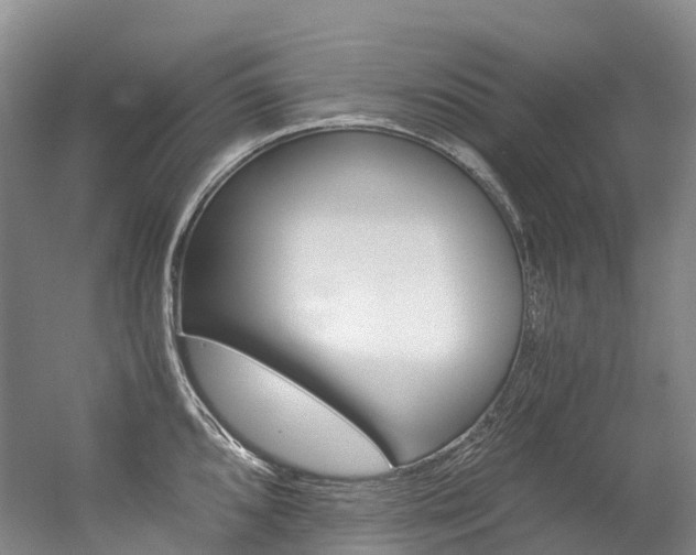 X0000056361096200508260939