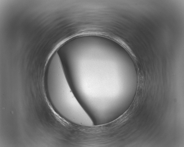 X0000056361101200508260939