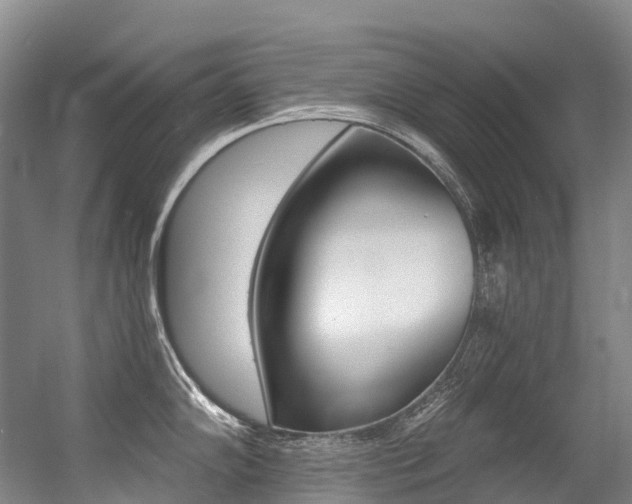 X0000056361102200508260939