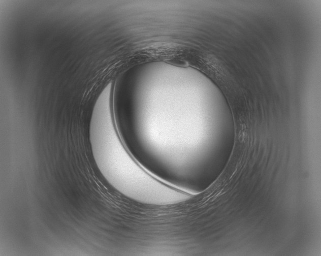 X0000056361108200508260939