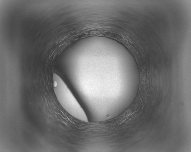 X0000056361109200508260939