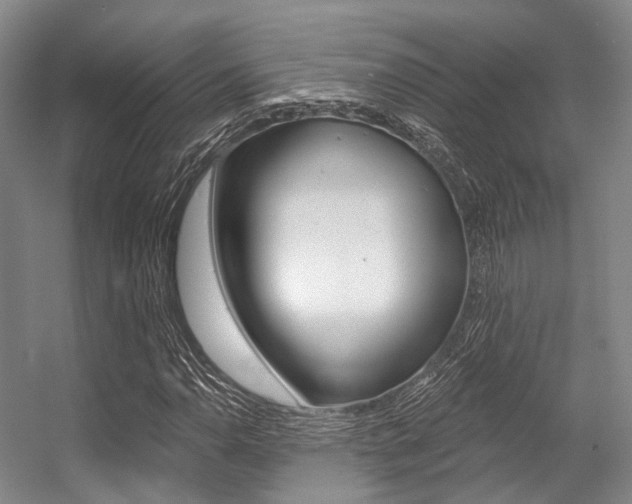 X0000056361110200508260939