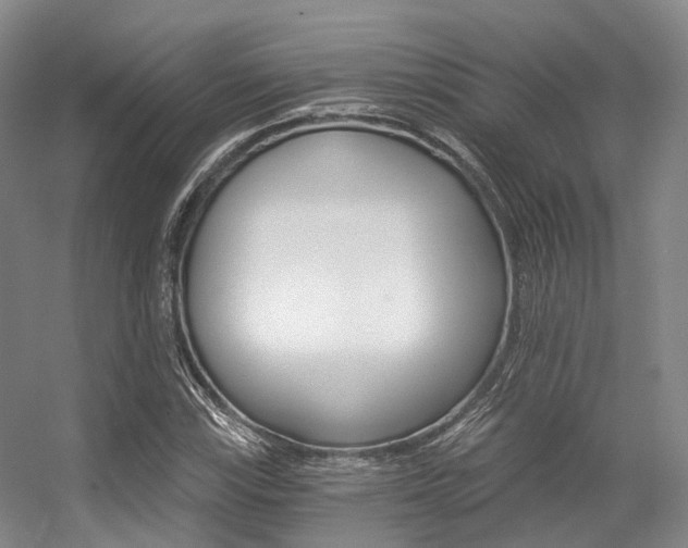 X0000056361115200508260939