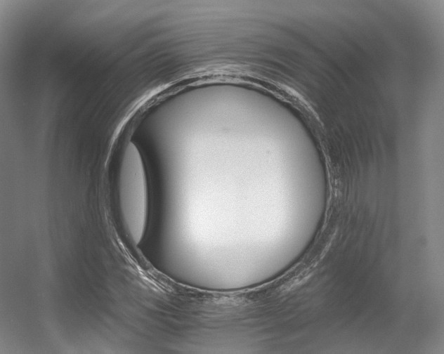 X0000056361117200508260939