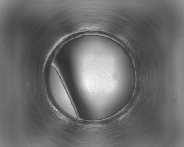X0000056361118200508260939