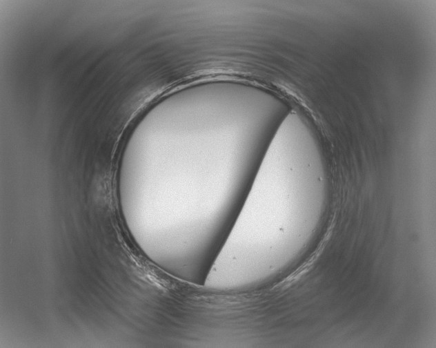 X0000056361121200508260939
