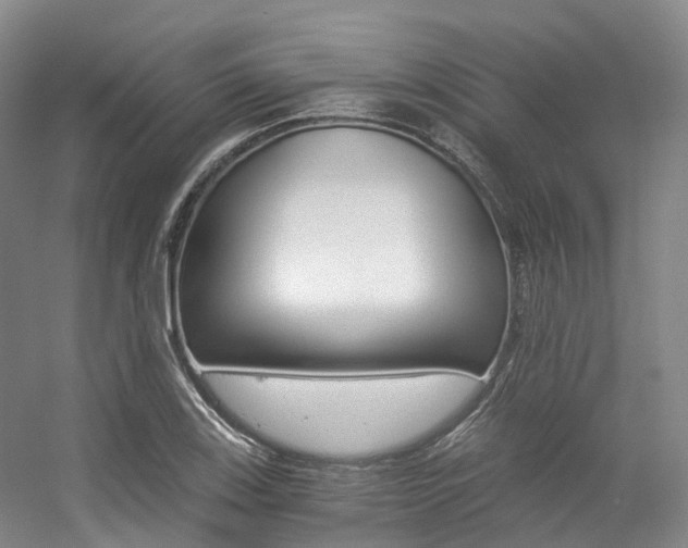 X0000056361123200508260939