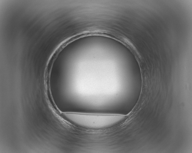 X0000056361124200508260939