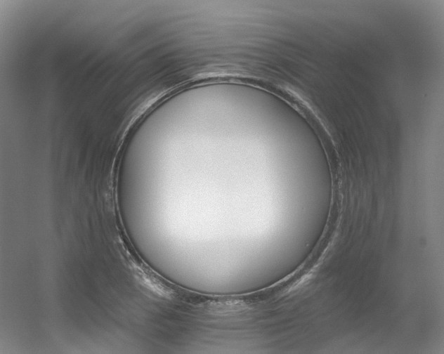 X0000056361129200508260939