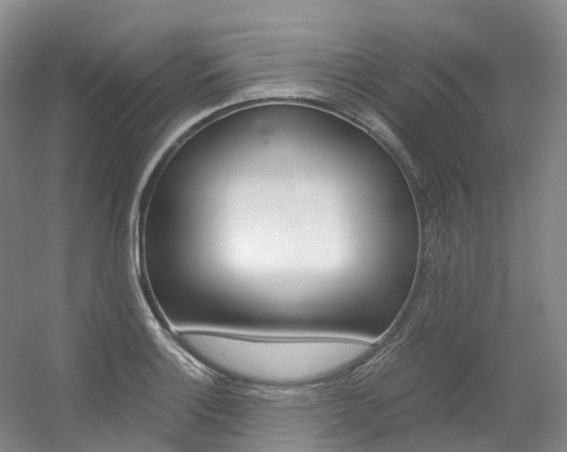 X0000056361132200508260939