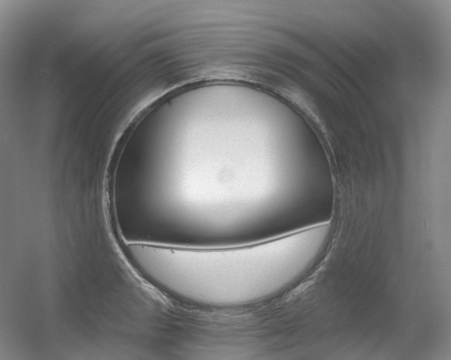 X0000056361133200508260939