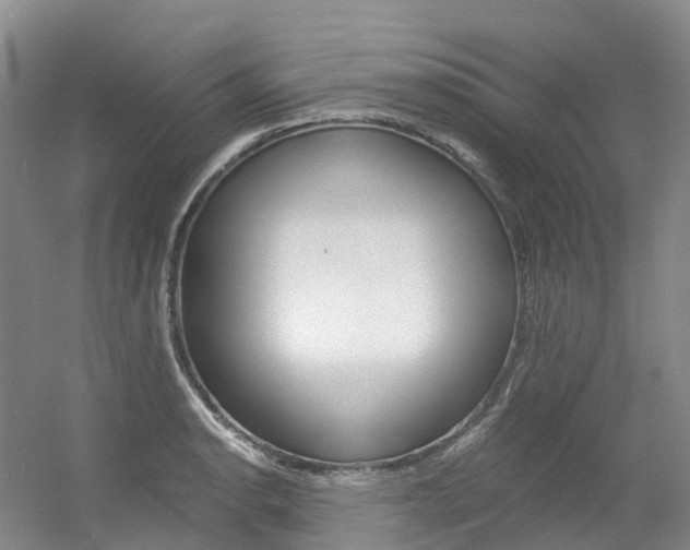 X0000056361134200508260939